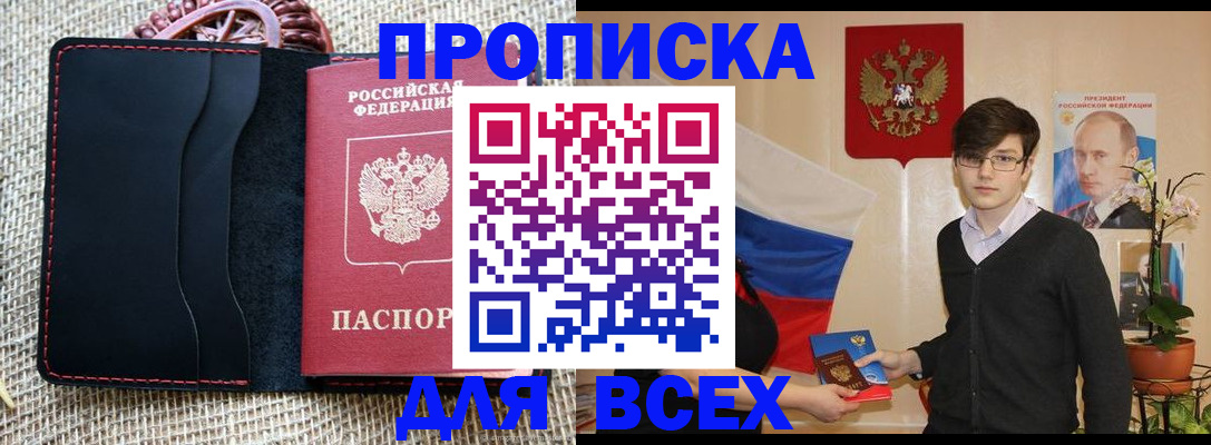 прописка 2026 в Коле
